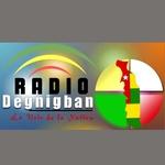 Radio Degnigban | Station Logo