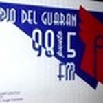 Radio Del Guaran | Station Logo