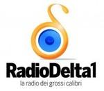 Radio Delta 1 | Station Logo