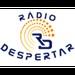 Rádio Despertar 91.0 FM | Station Logo