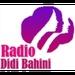 Radio Didi Bahini 95.2 | Station Logo