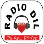 Radio Dil | Station Logo