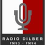 Radio Dilber 93 | Station Logo