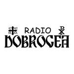 Radio Dobrogea 99.7 FM | Station Logo