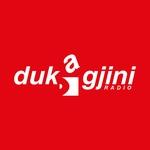 Radio Dukagini | Station Logo