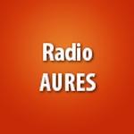 Radio Dzair - Aurès | Station Logo