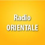 Radio Dzair - Orientale