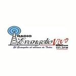 Radio Station logo