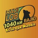 Radio Lobo Bajio - XEY | Station Logo