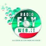 Radio Fly Web | Station Logo