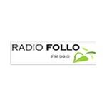 Radio Metro Follo | Station Logo