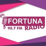 Radio Fortuna FM Sukabumi | Station Logo