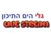 רדיו גלי הים התיכון | Station Logo