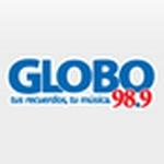 Radio Globo (SUR) 105.9 | Station Logo