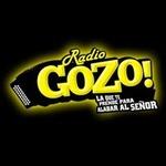 Radio Gozo | Station Logo