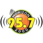 Radio Horizon 2000 | Station Logo