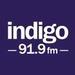 Indigo 919 Bangalore