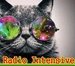 Radio Intensiva 24h