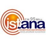 Radio Istana FM 95 Bojonegoro | Station Logo