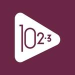 102.3 FM | Station Logo