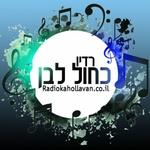 רדיו כחול לבן | Station Logo