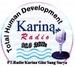 Radio Karina | Station Logo