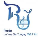 Radio La Voz De Yungay | Station Logo