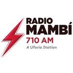 Radio Mambi 710AM - WAQI | Station Logo