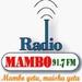 Radio Mambo 91.7 FM | Station Logo