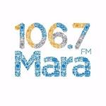 Radio Station logo
