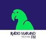 Rádio Marano FM | Station Logo