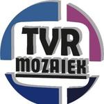 Radio Mozaïek | Station Logo