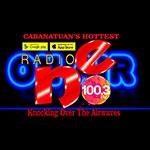 Cabanatuan Radio NE FM100.3 | Station Logo