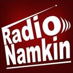 Radio Namkin | Station Logo