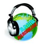 Radio Narodnjak | Station Logo