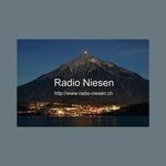 Radio Niesen | Station Logo