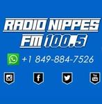 Radio Nippes FM 100.5 | Station Logo