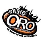 Radio Oro Stereo 96.7 | Station Logo