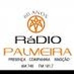 Rádio Palmeira FM | Station Logo