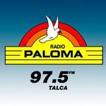 Radio Paloma | Station Logo