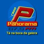 Rádio Panorama 87.9 | Station Logo