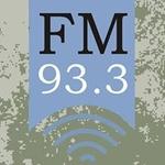 Fm Patagonia Andina 93.3 | Station Logo