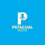 Radio Patagual | Station Logo