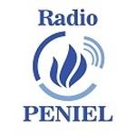 Radio Peniel | Station Logo