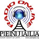 Penjala FM | Station Logo