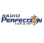 Radio Perfección | Station Logo