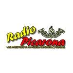 Radio Picarona Villarica-Pucón | Station Logo