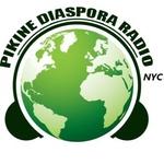 Pikine Diaspora Radio | Station Logo