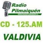 Radio Pilmaiquen - 98.9 FM | Station Logo