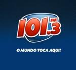 101.3 FM | Station Logo